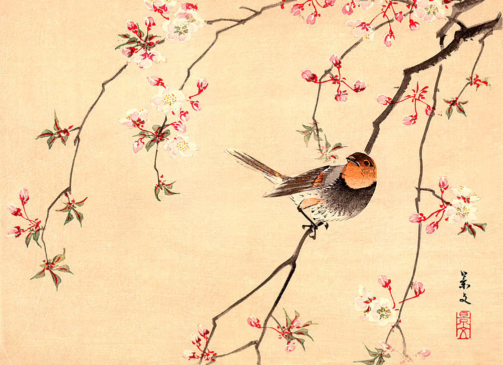 haiku-and-senryu-writing-class haiku and senryu writing class