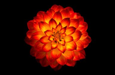 divine illumination writing sacred poetry